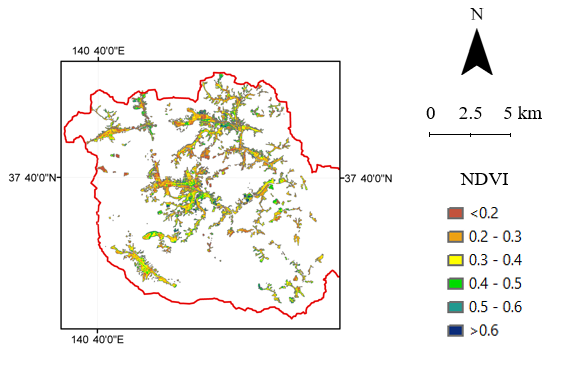 NDVI derived from satellite images (spatial resolution: 10 m × 10 m) in Fukushima decontamination regions during 2011 to 2018.