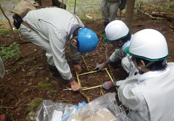 Field photo of soil sampling activity in Fukushima