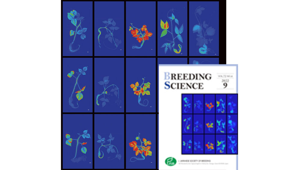 Breeding Science cover