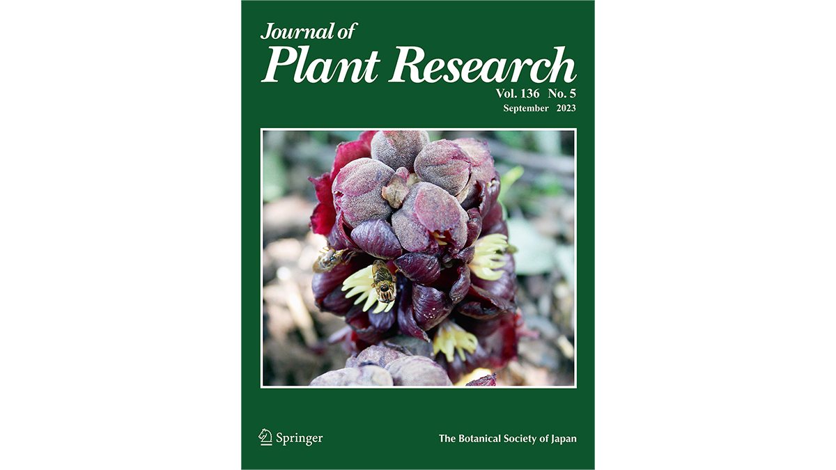 日本植物学会 の “2024年度 Best Paper賞” に選ばれました