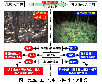 図1 荒廃人工林の水土砂流出への影響